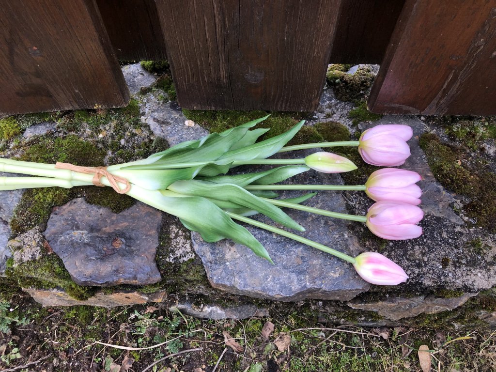 Vtipné velikonoční koledy